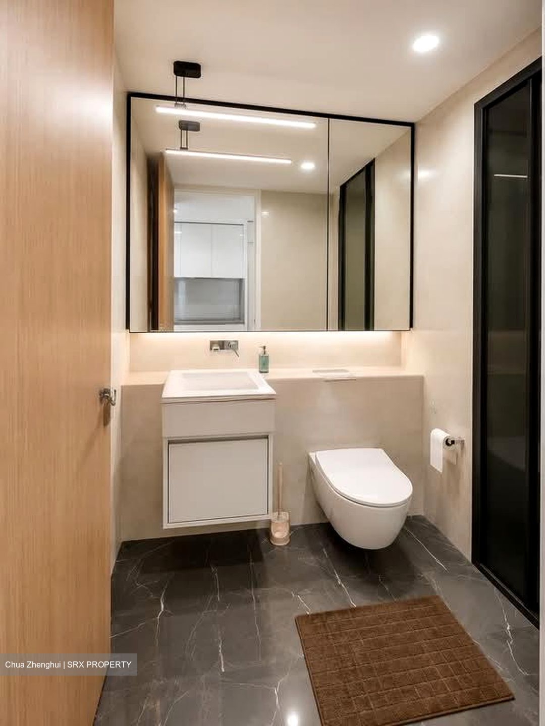 Amber Park (D15), Condominium #580798381